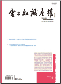 电子知识产权