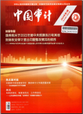 中国审计
