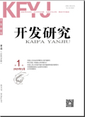 开发研究