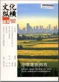 文化纵横
