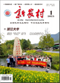 新农村