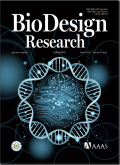 生物设计研究（英文）