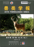 兽类学报