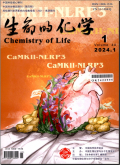 生命的化学