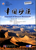 中国沙漠