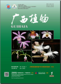 广西植物