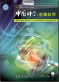 中国科学（生命科学）
