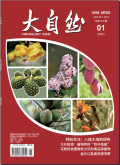大自然