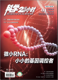科学24小时