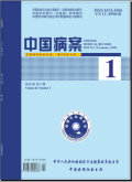 中国病案