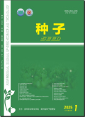 种子