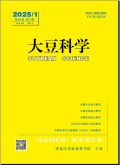 大豆科学