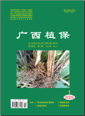广西植保