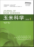 玉米科学
