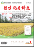 福建稻麦科技
