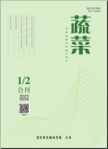 蔬菜