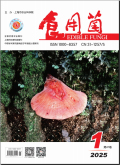 食用菌