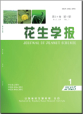 花生学报