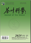 茶叶科学