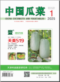 中国瓜菜