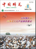 中国棉花