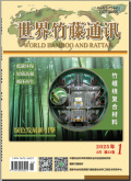 世界竹藤通讯