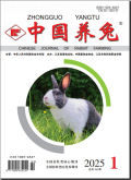 中国养兔