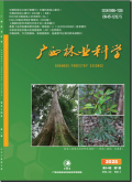 广西林业科学