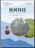 桉树科技