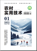 农村实用技术