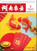 湖南农业