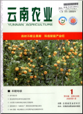 云南农业