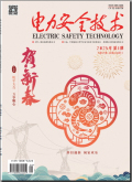 电力安全技术