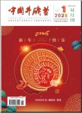 中国井矿盐